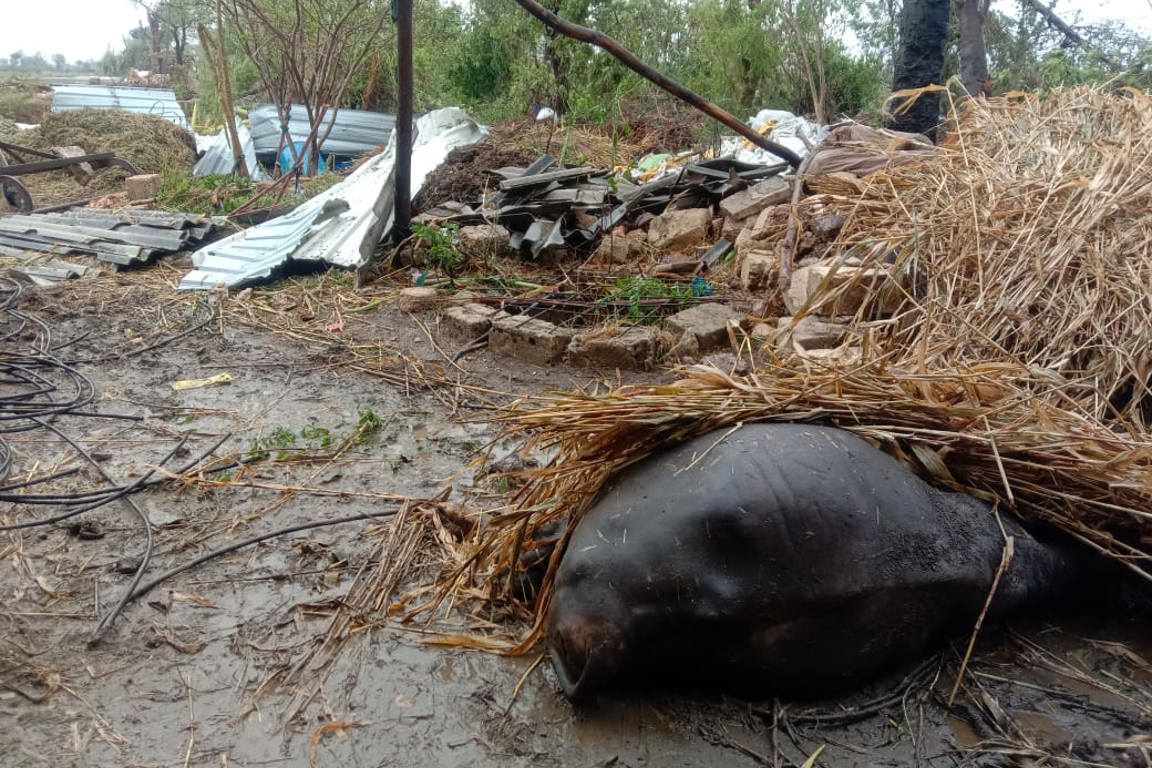 cyclone damage to rural house in india