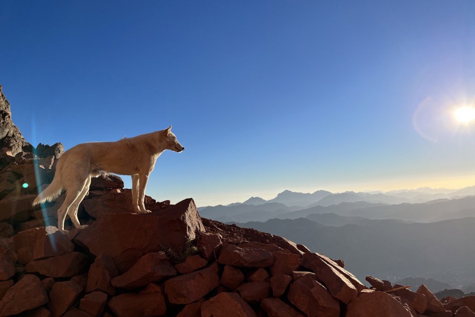 Mt Sinai, Egypt