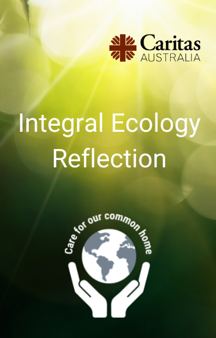 Integral Ecology Reflection