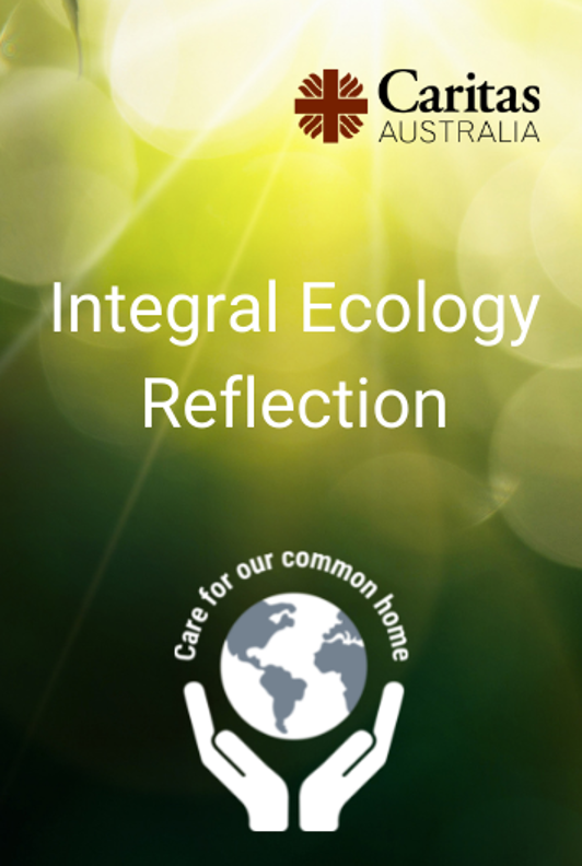 Integral Ecology Reflection