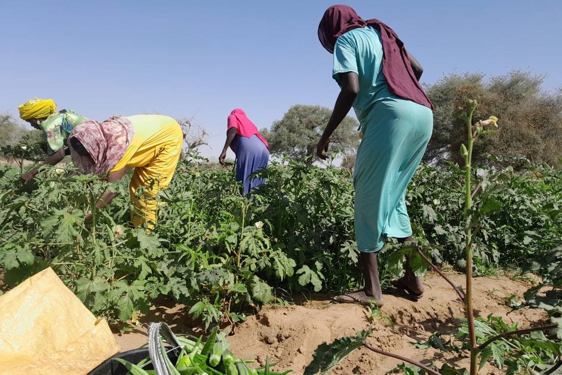 Sudanese Women Working As Farmers In Neighbouring Chad Photo Credit Caritas Mongo