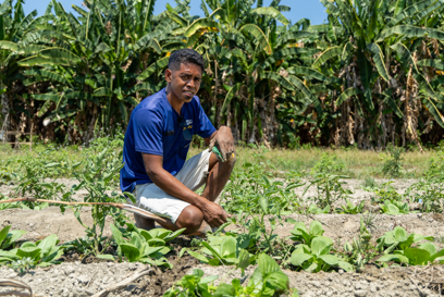 Chiquito On His Farm In Timor