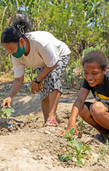 Chiquito Timor Leste Planting Seeds 400X600px