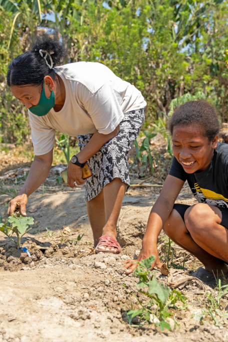 Chiquito Timor Leste Planting Seeds 400X600px