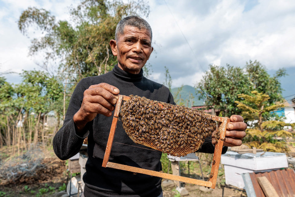 A beekeeper in Nepal