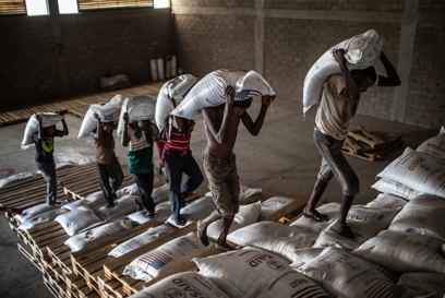 Emergency food assistance of wheat, legumes and cooking oil to food-insecure families in Ethiopia