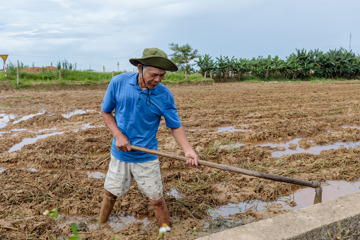 Thu Working In Fields