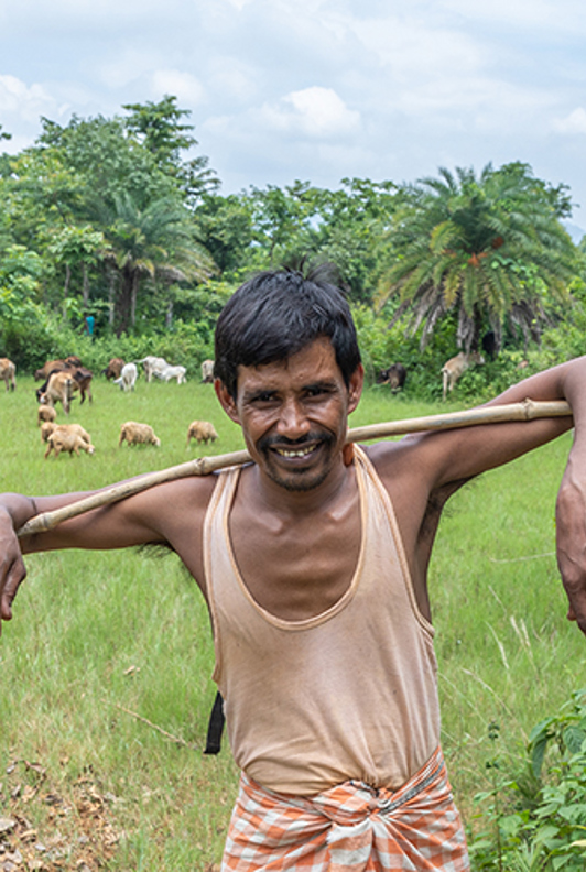 Biru On His Farm