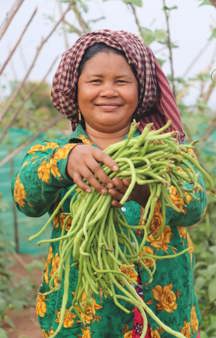 Cambodian Farmer Em Holding Beans In Garden