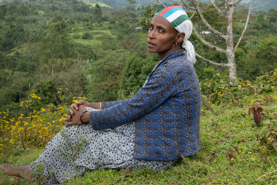 Tax 2025 LP DESKTOP1 IMG1