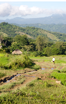 Laudato Si Reflection