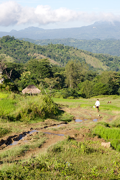 Laudato Si Reflection