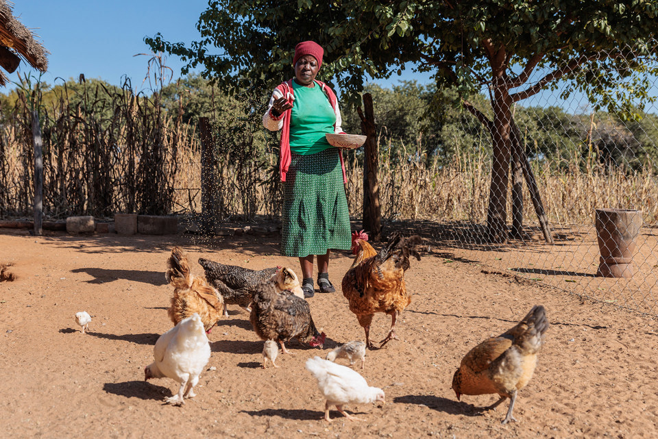 Priscilla With Chicken