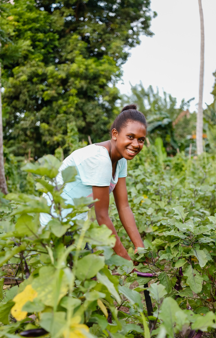 Laudato Si' Goals Parish Thumbnail