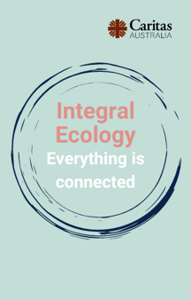 Integral Ecology Everything Is Connected