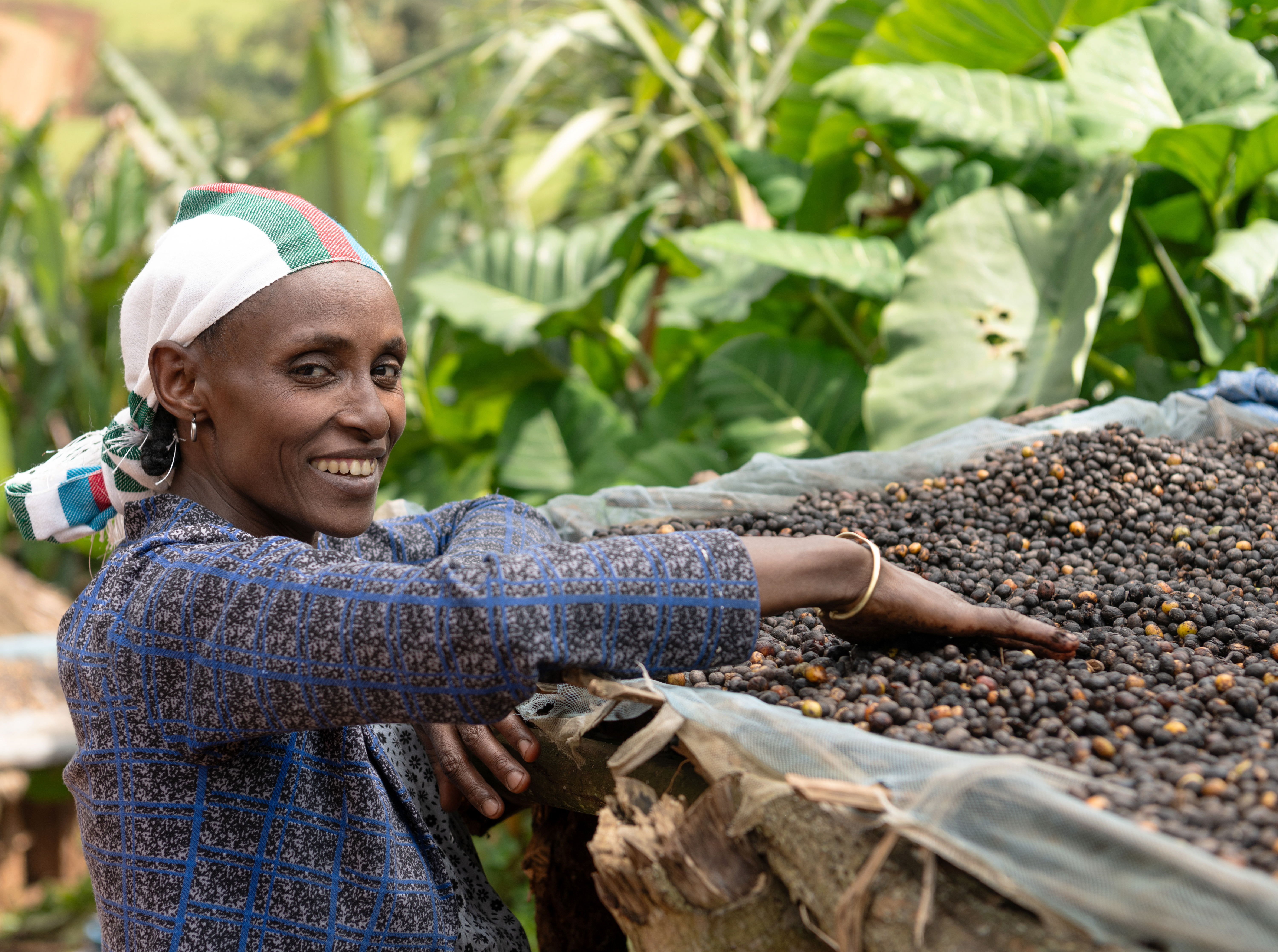 Caritas Australia Ethiopia 0090 A XX