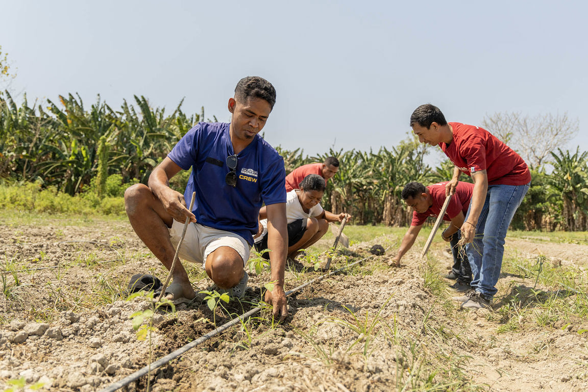 Chiquito Farming With His Family And Caritas Australia Staff