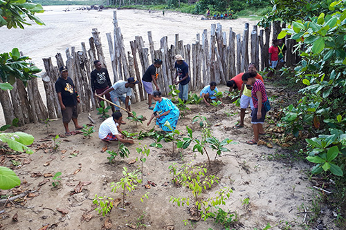 Okaba Planting Lower Res