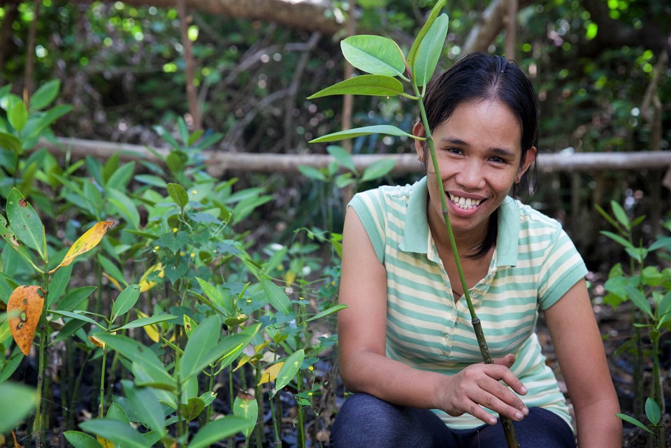 Aloma Sitting With Mangrove Branch