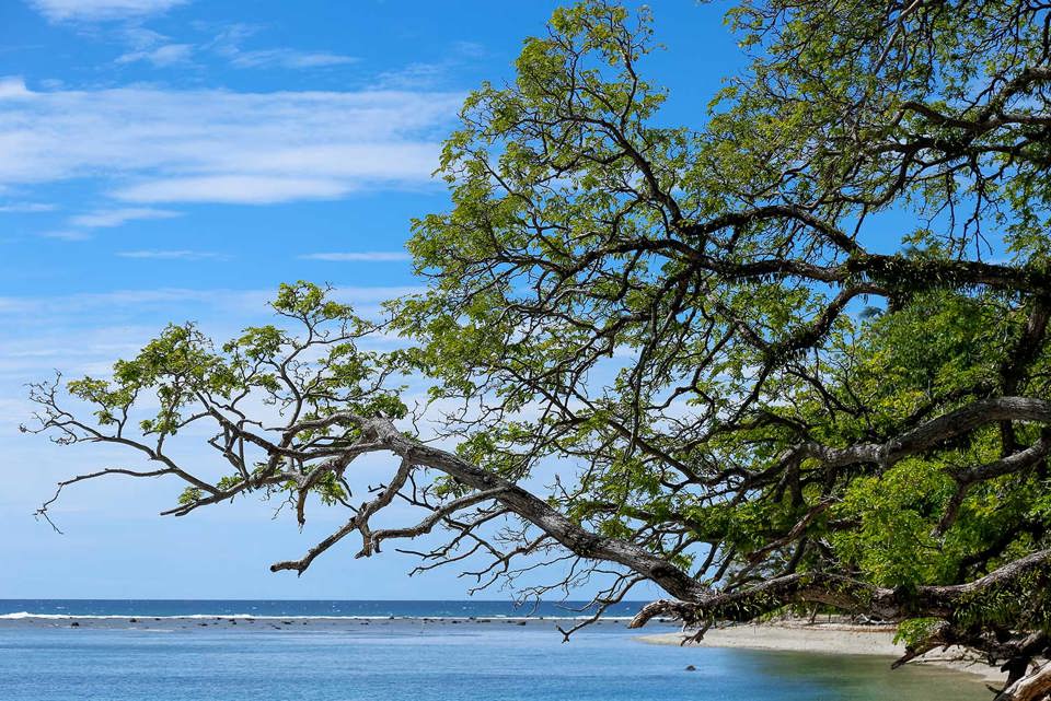 Solomon Islands